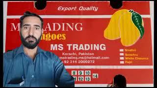 Ms trading company