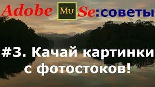 Adobe Muse. Советы | 3. Качай картинки с фотостоков!