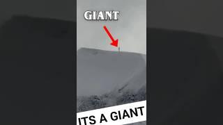 This guy Found a Giant…