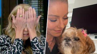 Kelly Ripa Breaks Down On Live TV w/ Mark Consuelos Over Beloved Dog’s Death