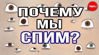 Почему мы спим? / TED ED на русском языке