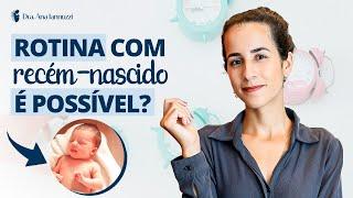 ROTINA COM RECÉM-NASCIDO que funciona! Dra. Ana Jannuzzi