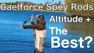 Gaelforce Altitude Plus:  Crucial Single Spey Tip