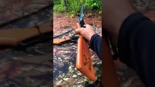 Plinking with the Daisy Red Ryder and Buck BB gun #Shorts