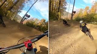 Gronk (Full) - Thunder Mountain Bike Park - Charlemont, MA- MTB DH