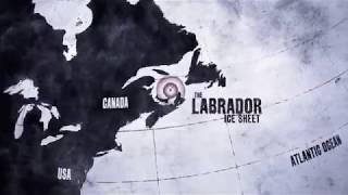 Seal Hunting in Canada - Sea Shepherd Conservation Society
