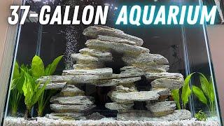 Changing Aquarium Tanks and Substrate - Switching from Gravel to SAND