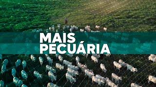 Mais Pecuária | 19/06/2025