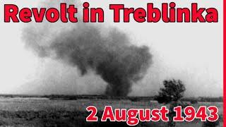 The Treblinka revolt. Live broadcast 2 August 2023.