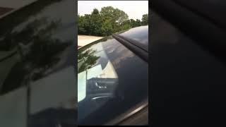Itsy Bitsy Spider flexin windshield #sundownaudio #sa12 #ctsounds