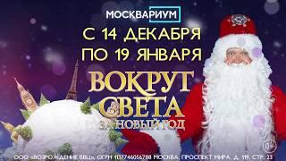 Шоу «Вокруг света за Новый год» c 14 декабря 2019