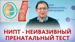 Неинвазивный пренатальный тест (НИПТ). Что такое НИПТ и какие патологии выявляет НИПТ.