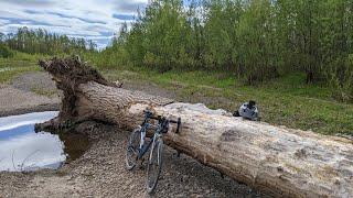 Мой шоссейник ХВЗ "Старт-шоссе", краткий обзор