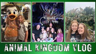 Ultimate Animal Kingdom Adventure! | Rope Drop to Extended Evening Hours 