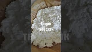 как я делаю творог