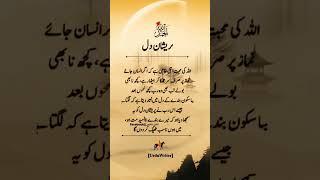 #preshandil️ #urdupoetrylines #urdulanguage #urdutrendingreels #shorts #viral