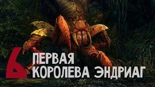 Прохождение The Witcher 2: Assassins of Kings #6 - Первая королева эндриаг