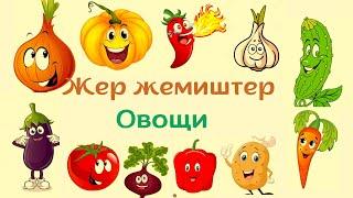 Жер жемиштер - фрукты кыргыз-орус тилинде #обучающие#фрукты#пайдалуу мультиктер