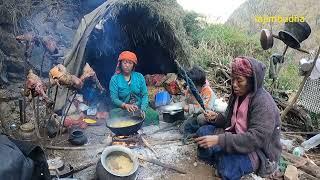 this is the life of himalayan people || lajimbudha ||