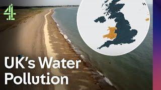 Britain's Water Pollution Crisis | Britain's Water Scandal | Dispatches | Channel 4