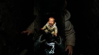 Baby Falls Into a Giant Tree Hole 