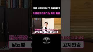 당뇨, 비만, 고지혈증이 있다면 미토콘드리아 치료를 추천해요