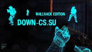 Counter-Strike 1.6 WallHack Edition