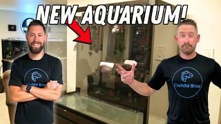 Unboxing & Setting Up My New TALL Custom Aquarium! (Part 1)