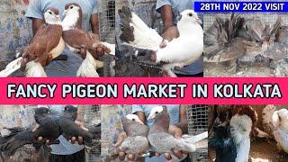 FANCY PIGEON MARKET IN KOLKATA || Fancy Kabutar || Biggest Pigeon Market Garia || Vlogger Eyamin ||