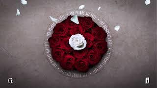 Los Primos del Este - Una Rosa Blanca (Lyric Video)