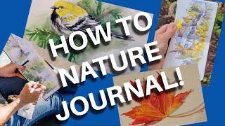 Nature Journaling with John Muir Laws