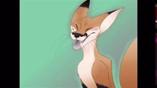 Cute Fox милый лис Animation