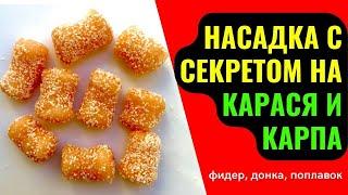 Насадка для рыбалки на КАРПА, КАРАСЯ. Насадка выручит, когда червь и опарыш не работает.