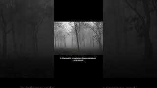 Horror | "There's a forest in Japan where people mysteriously vanish.