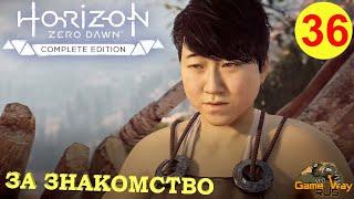 HORIZON ZERO DAWN Complete Edition #36  PS5 ЗА ЗНАКОМСТВО. Прохождение на русском.