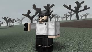 Roblox Camera Distortion