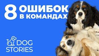 8 ошибок в командах  Какие ошибки допускают хозяева в обучении собак  Как щенка учить словам 