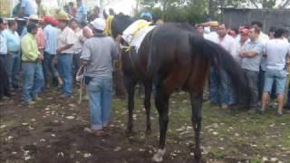 carrera a la chilena, corrido a homenaje de la carrera entre Chilenaso y Patacon