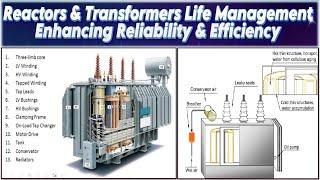 Transformer & Reactor Life Management Enhancing Reliability & Efficiency | Transformers Efficiency