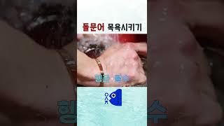 돌문어 맛있게 손질하는 법