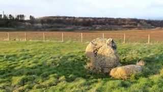 Free the Sellafield Deer