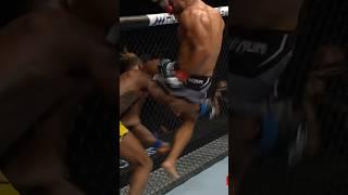 Knockout of the year. #amazing #ufc #fight #ytshorts #shorts #new #youtube #sports365