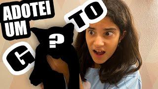 ADOTEI UM GATO? Universo da Yasmin Verissimo - vlog