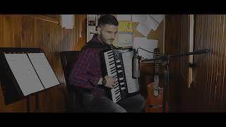 Nemanja Nedeljkovic - Kolo "Prelaz" (COVER )