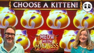 COULD THIS GAME BE ANY CUTER? MEOW MEOW MADNESS