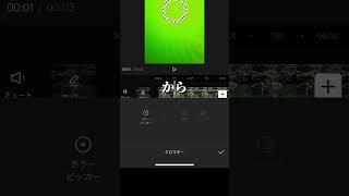 【簡単】スマホでグリーンバックを使った動画の撮り方（撮影者:Hiro）#shorts #iphone #iphone撮影 #講座 #rkphoto