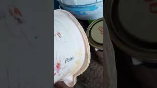 Easy trick to catch a snake
