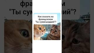 Как сказать "Ты сумасшедший" на французском