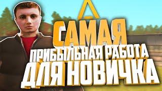 САМАЯ ПРИБЫЛЬНАЯ РАБОТА ДЛЯ НОВИЧКА НА AMAZING RP! (АМАЗИНГ РП) GTA CRMP