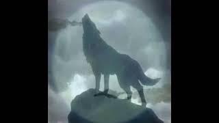 Ghost wolf howl sound effect